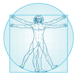 thevitruvianman_mittelstand
